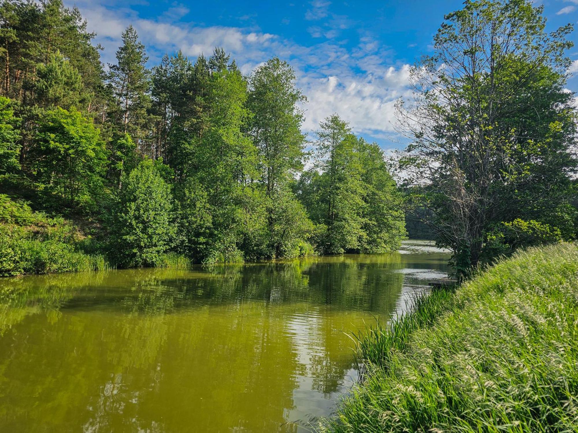 Dom Pod Klonem Na Kaszubach Villa Kościerzyna Eksteriør billede