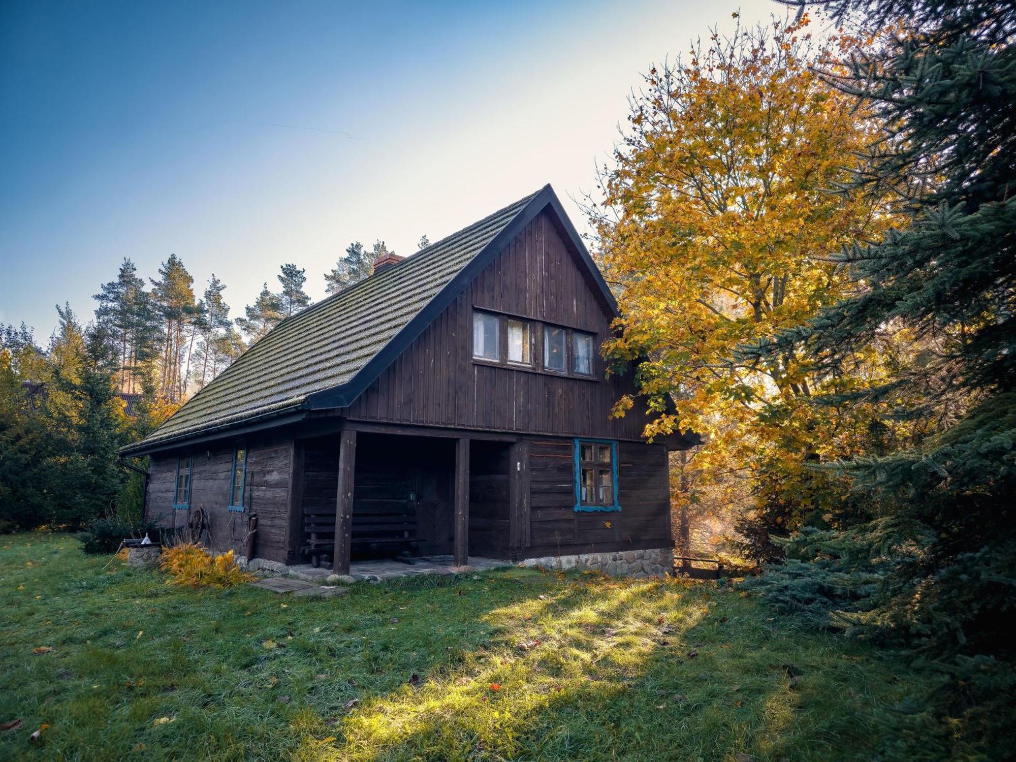 Dom Pod Klonem Na Kaszubach Villa Kościerzyna Eksteriør billede