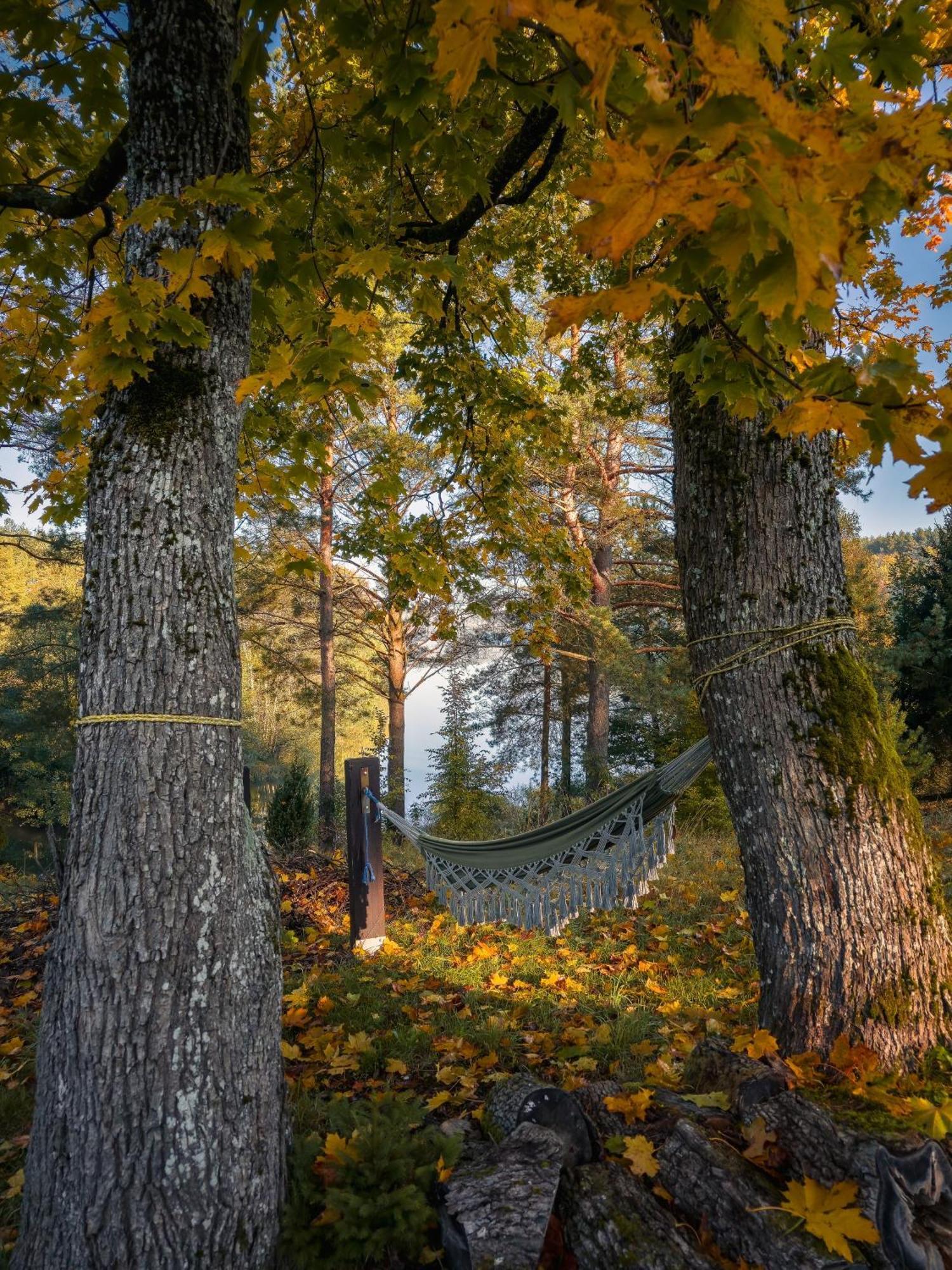 Dom Pod Klonem Na Kaszubach Villa Kościerzyna Eksteriør billede