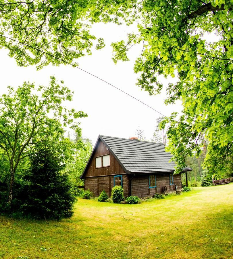 Dom Pod Klonem Na Kaszubach Villa Kościerzyna Eksteriør billede