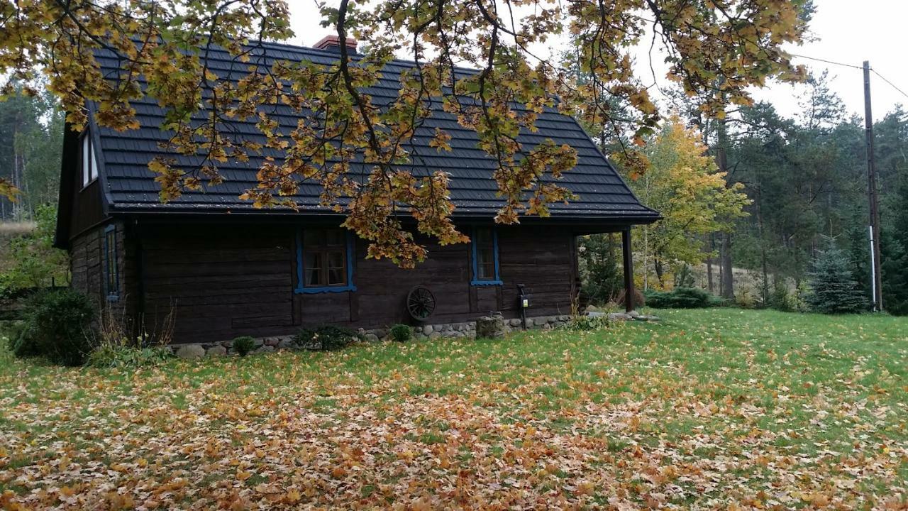 Dom Pod Klonem Na Kaszubach Villa Kościerzyna Eksteriør billede